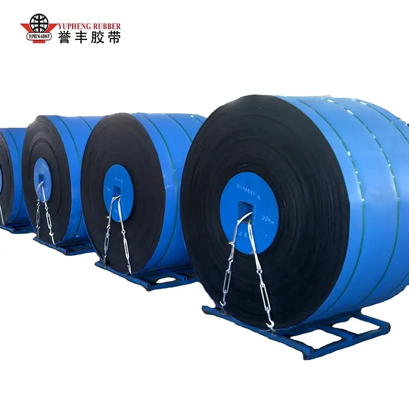 Acid at Alkali Resistant Conveyor Belt
