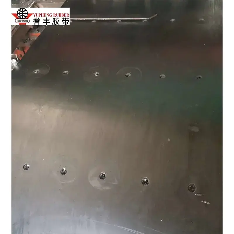 Steel Cord Bucket Elevator Belt